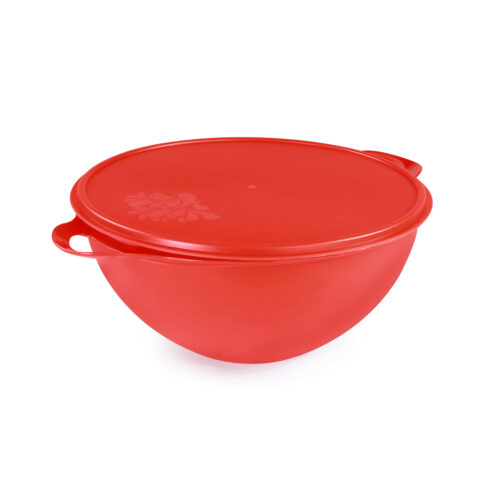 super-bowl-10L-ROUGE